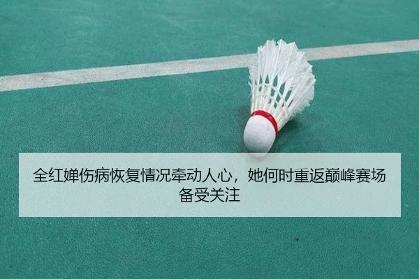 全红婵伤病恢复情况牵动人心，她何时重返巅峰赛场备受关注 - WEI LAI SPORTS